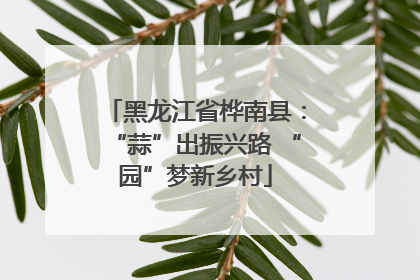 黑龙江省桦南县：“蒜”出振兴路 “园”梦新乡村