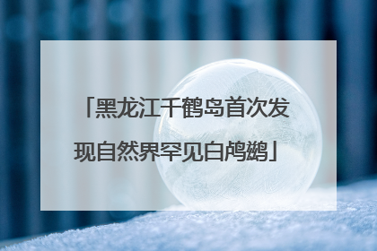 黑龙江千鹤岛首次发现自然界罕见白鸬鹚