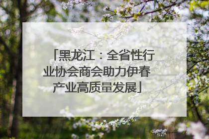 黑龙江：全省性行业协会商会助力伊春产业高质量发展