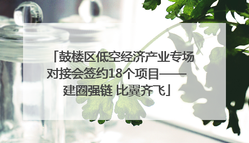 鼓楼区低空经济产业专场对接会签约18个项目——建圈强链 比翼齐飞