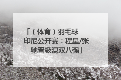 （体育）羽毛球——印尼公开赛：程星/张驰晋级混双八强