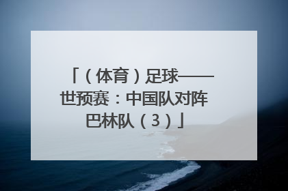 （体育）足球——世预赛：中国队对阵巴林队（3）