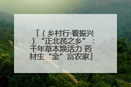 （乡村行·看振兴）“正北芪之乡”：千年草本焕活力 药材生“金”富农家