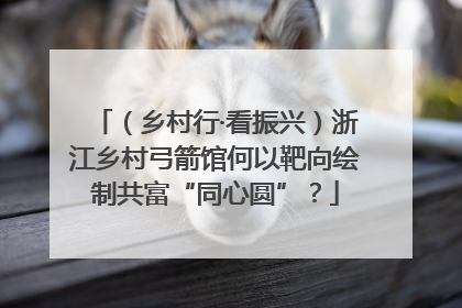 （乡村行·看振兴）浙江乡村弓箭馆何以靶向绘制共富“同心圆”？
