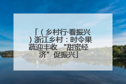 （乡村行·看振兴）浙江乡村：时令果蔬迎丰收 “甜蜜经济”促振兴
