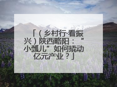 （乡村行·看振兴）陕西略阳：“小瓢儿”如何撬动亿元产业？