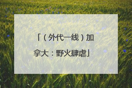 （外代一线）加拿大：野火肆虐