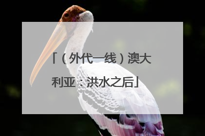 （外代一线）澳大利亚：洪水之后