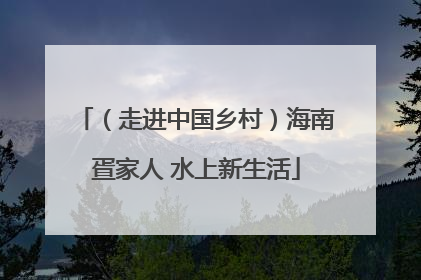 （走进中国乡村）海南疍家人 水上新生活