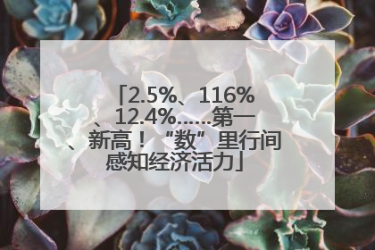 2.5%、116%、12.4%……第一、新高！“数”里行间感知经济活力