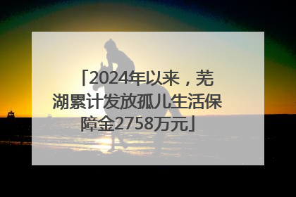 2024年以来，芜湖累计发放孤儿生活保障金2758万元
