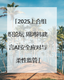 2025上合组织论坛 周鸿祎建言AI安全应对与柔性监管