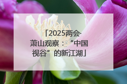 2025两会·萧山观察：“中国视谷”的新江湖