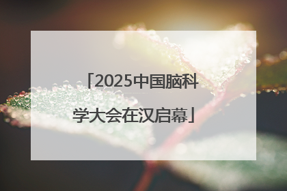 2025中国脑科学大会在汉启幕