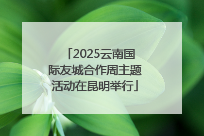 2025云南国际友城合作周主题活动在昆明举行