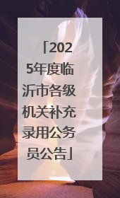 2025年度临沂市各级机关补充录用公务员公告