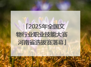2025年全国文物行业职业技能大赛河南省选拔赛落幕