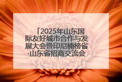 2025年山东国际友好城市合作与发展大会暨印尼楠榜省·山东省招商交流会在济南槐荫举行