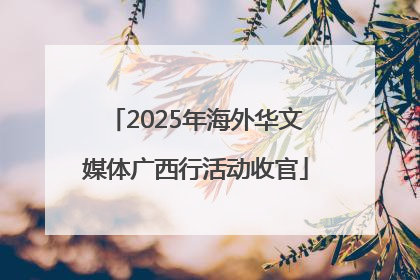 2025年海外华文媒体广西行活动收官