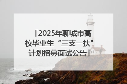 2025年聊城市高校毕业生“三支一扶”计划招募面试公告