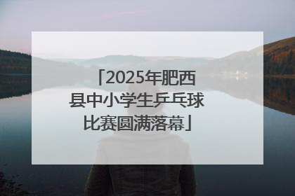 2025年肥西县中小学生乒乓球比赛圆满落幕