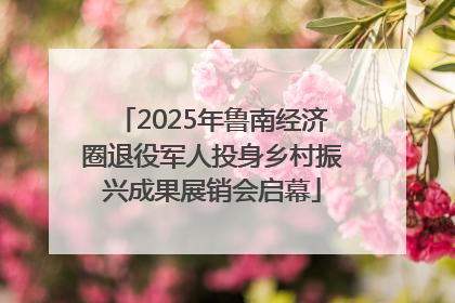 2025年鲁南经济圈退役军人投身乡村振兴成果展销会启幕