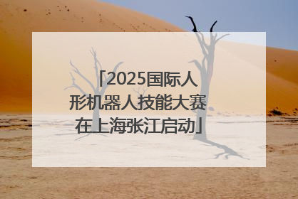 2025国际人形机器人技能大赛在上海张江启动
