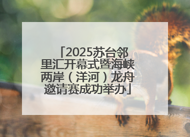 2025苏台邻里汇开幕式暨海峡两岸（洋河）龙舟邀请赛成功举办