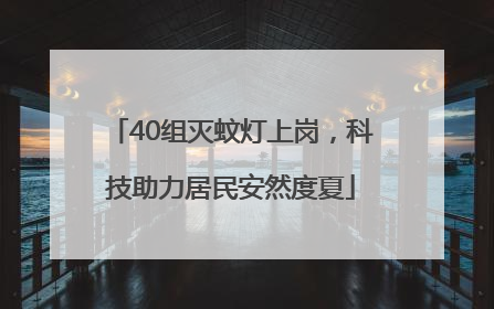 40组灭蚊灯上岗，科技助力居民安然度夏