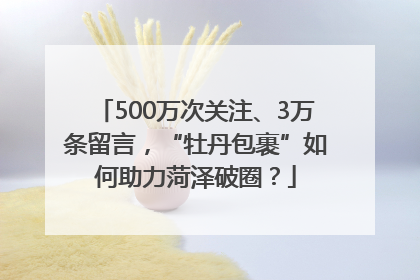 500万次关注、3万条留言，“牡丹包裹”如何助力菏泽破圈？