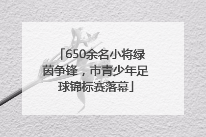 650余名小将绿茵争锋，市青少年足球锦标赛落幕