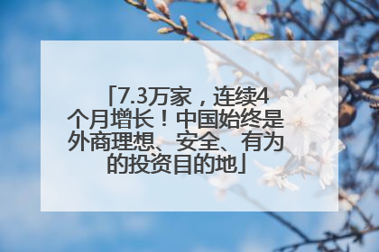 7.3万家，连续4个月增长！中国始终是外商理想、安全、有为的投资目的地