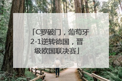 C罗破门，葡萄牙2-1逆转德国，晋级欧国联决赛