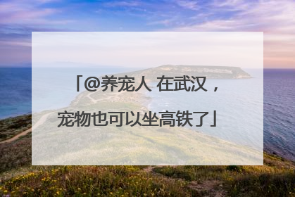 @养宠人 在武汉，宠物也可以坐高铁了
