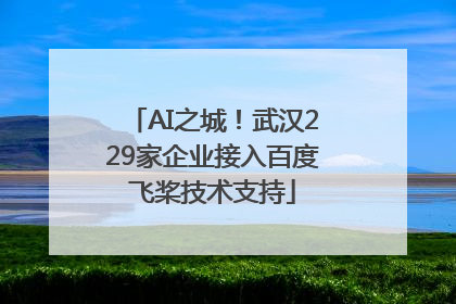 AI之城！武汉229家企业接入百度飞桨技术支持