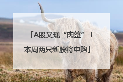 A股又现“肉签”！本周两只新股将申购