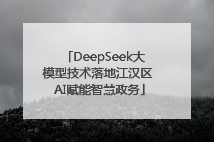 DeepSeek大模型技术落地江汉区 AI赋能智慧政务