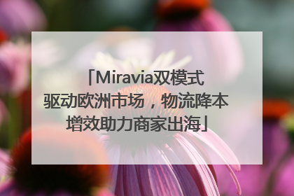 Miravia双模式驱动欧洲市场，物流降本增效助力商家出海