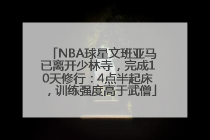 NBA球星文班亚马已离开少林寺，完成10天修行：4点半起床，训练强度高于武僧