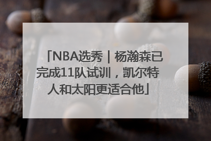 NBA选秀｜杨瀚森已完成11队试训，凯尔特人和太阳更适合他