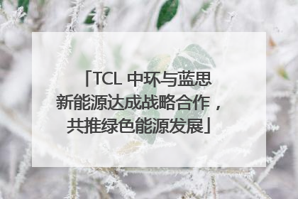 TCL 中环与蓝思新能源达成战略合作，共推绿色能源发展