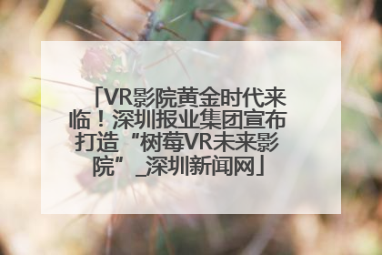 VR影院黄金时代来临！深圳报业集团宣布打造“树莓VR未来影院”_深圳新闻网